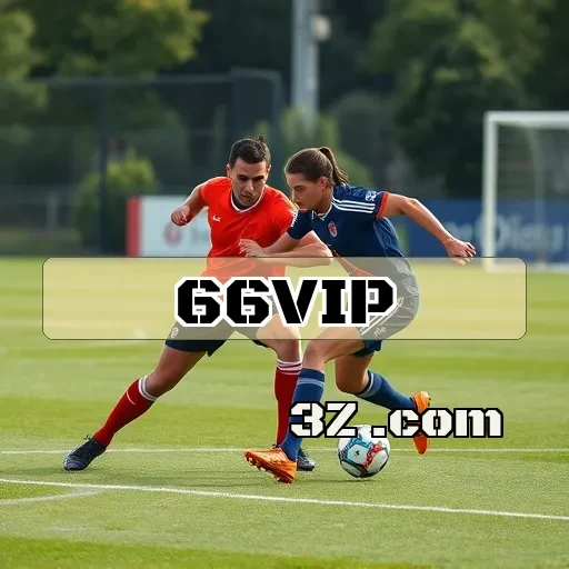 Bingo Online: Viva Grandes Emoções com a 66 VIP Bet