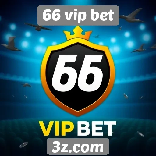Comparativo de bônus e promoções no site 66 vip bet
