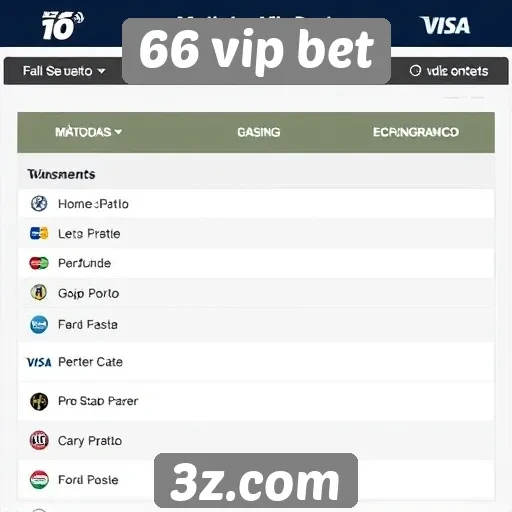 Métodos de pagamento aceitos no 66 vip bet